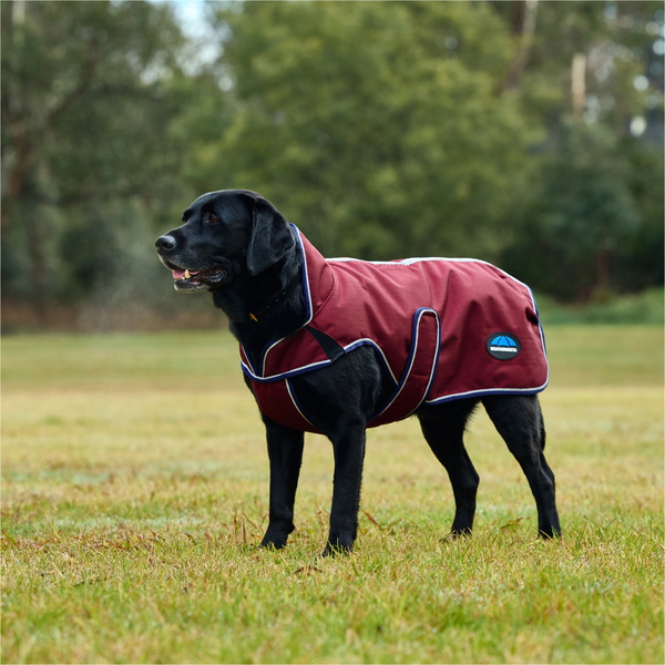 2025 Weatherbeeta Comfitec Premier Deluxe Waterproof Dog Coat 1028800 - Burgundy